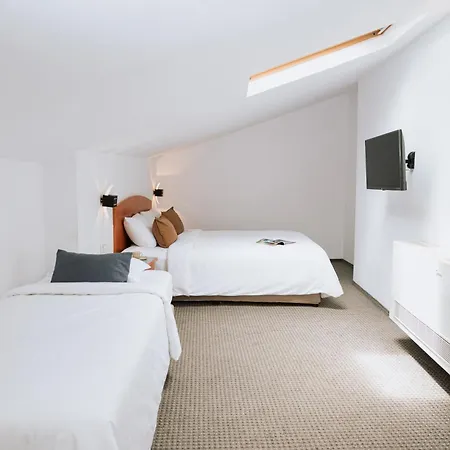 酒店 Duke Romana Center 3*