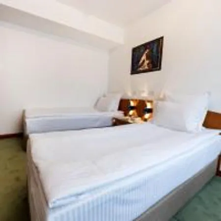 Duke Romana Center Hotel 3*